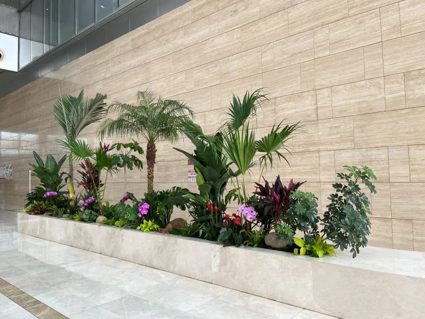 北仑植物租赁，打造独特家居绿植景观的秘诀><div class=